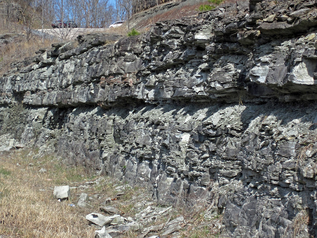 Cowbell Member (Borden Formation, Lower Mississippian; Clack Mountain Road Outcrop, south of Morehead, Kentucky, USA) 3