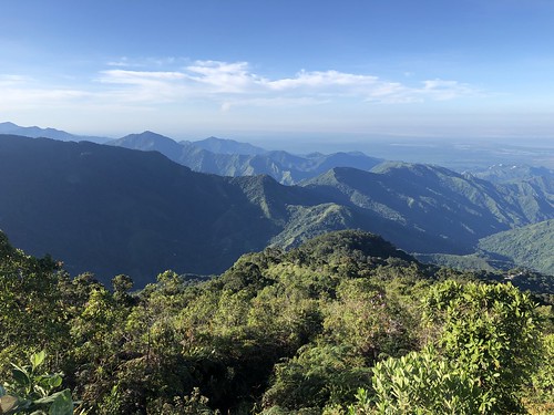 colombia south america santa marta mountains el dorado nature reserve cloud forest selva nieblas