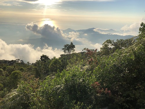 colombia south america santa marta mountains el dorado nature reserve cloud forest selva nieblas