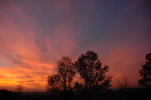 Zora rudi - Sunce samo što nije izašlo by fototeca51, Stepanje - Srbija