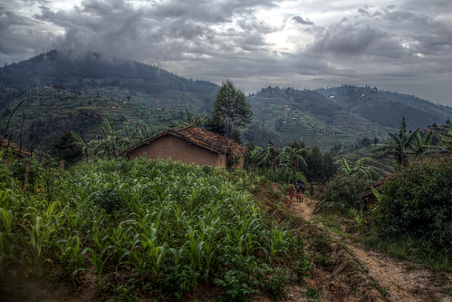 rwanda hdr village house path farm hill cloud outdoor overcast tree landscape africa