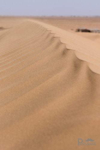 sahara sand desert morocco marokko wüste soussmassadraa