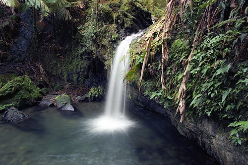 elyunquenationalforest juandiegotrail waterfall creek rainforest film 35mm c41 kodakgold200 canonelan7ne ef28mm