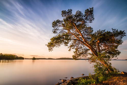 kallavesi kuopio nd1000 dawn sunrise tree lake tokina1116
