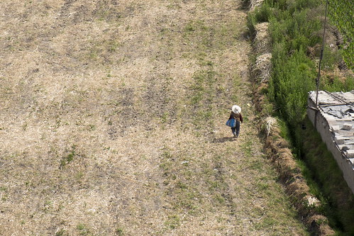 campesino paysan arequipa tierra agricultura peru sombrero landscape crop person green
