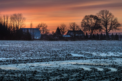 canoneos5dmarkiv amanecer sunrise farm field campo january enero snow plowed winter invierno