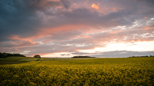 Landscape colours by PHOTOPHOB, sky nature landscape lumix sonnenuntergang natur himmel paisaje panasonic g6 paysage landschaft paes