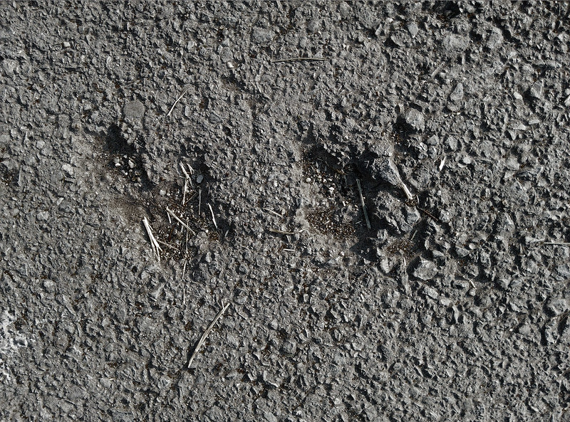 asphalt-texture-2015-06-12-3000px_texturepalace_08