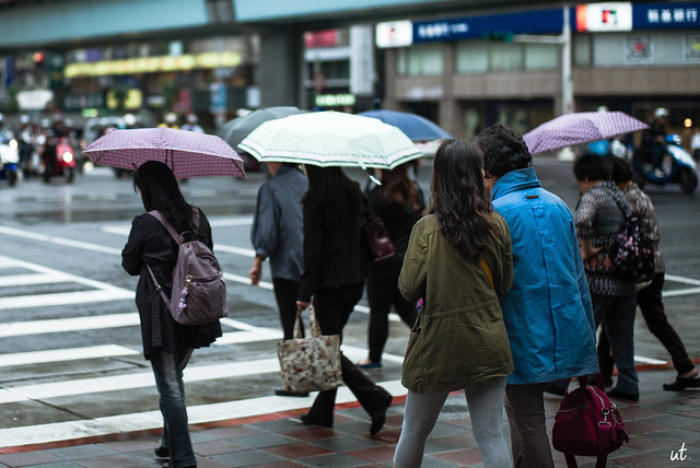 【季风】· 下雨的台北街头