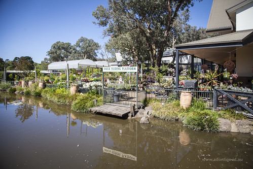 riversofyarrambat nursery gardencentre cafe café yarrambat melbourne victoria australia