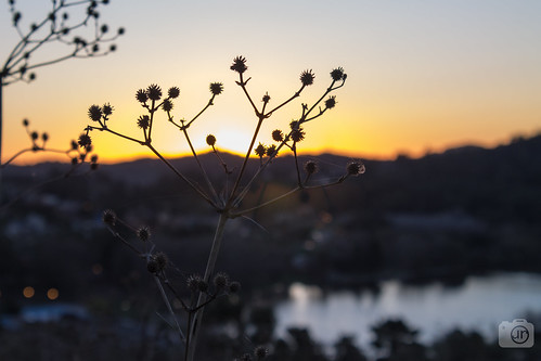 sunset contrast lago atardecer bokeh quijote flor contraste canoneos ocaso tandil fuerte ef1855 canont3