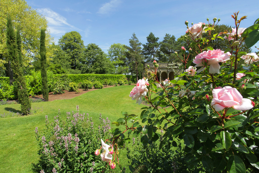 Rose Garden @ Nymans | www.adamswaine.co.uk | Adam Swaine | Flickr