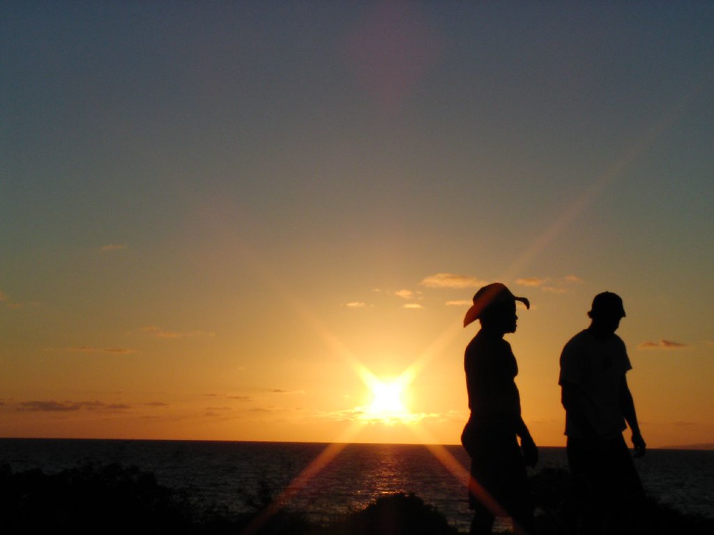 Silhouette Of Fun
