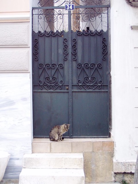 Kitty on the Doorstep