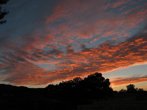 1 by brianmario, sunset templeton