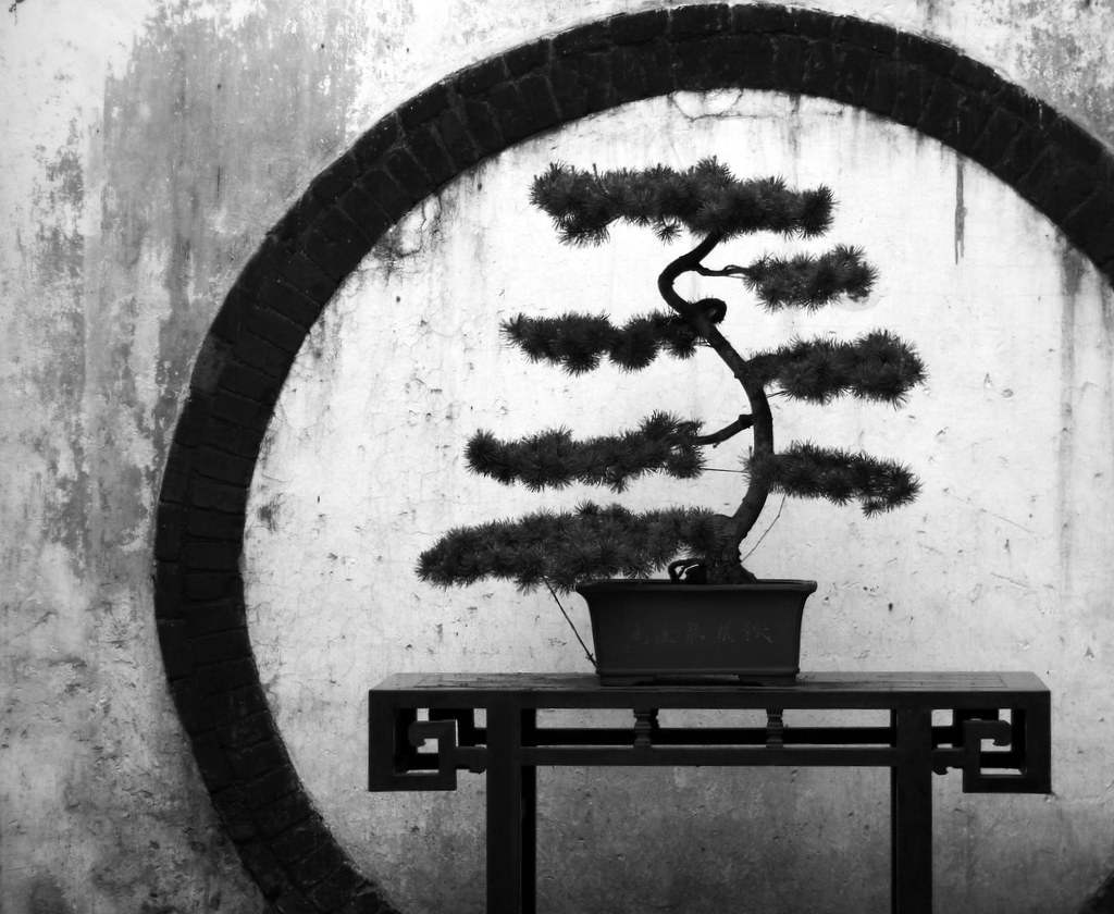 Выгнали рассказ на дзен. Японский арт. Необычные истории дзен. Жизненные истории дзен. Дзен дерево бонсай арт каллиграфия.