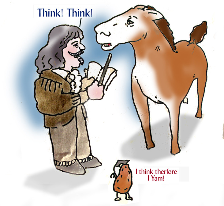 Putting Descartes before de horse | Philosophical humor on t… | Flickr
