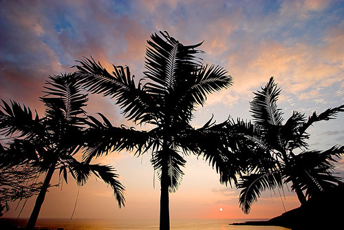 sunset palms easter hawaii bay jorge manila inlaws kealakekua kona gisela 20251b