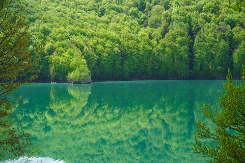 lake reflection landscape mirror woods sony romania valea doftanei 1650mm a6000 outstandingromanianphotographers
