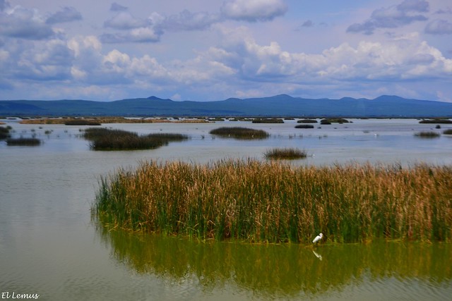 Lago de Cuitzeo,Michoacan,Mexico. Foto:El Lemus