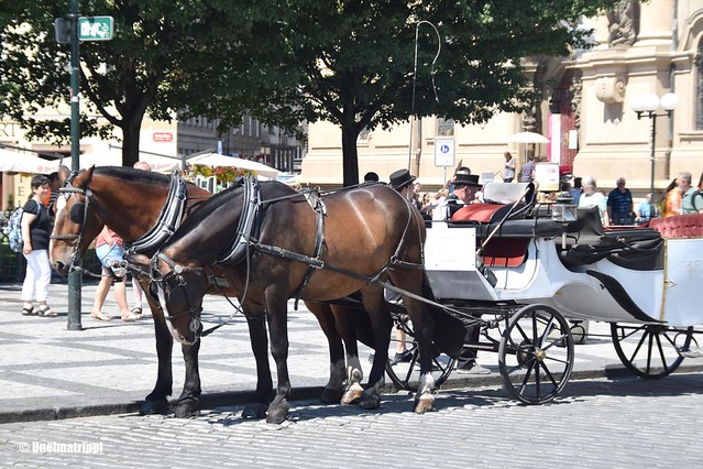 Hevoskärryt Prahassa