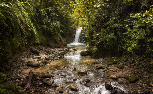 ecuador cascada chismosa falls cascata parquenacionalpodocarpus landscape waterfall