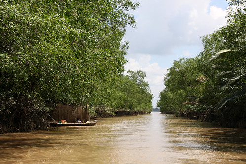 trees tree water river vietnam vegetation mekongdelta indochina