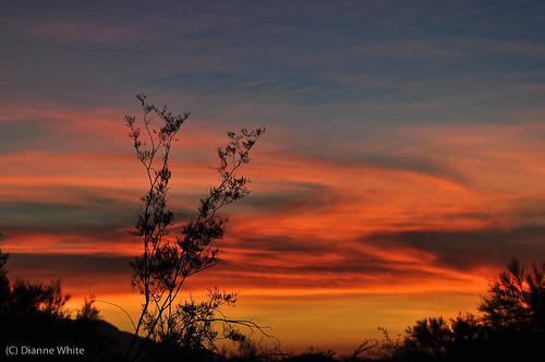 sunset arizona tucson sonorandesert