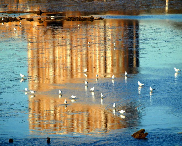 The Palisades Tower Reflections, Hudson River Low Tide, Edgewater NJ