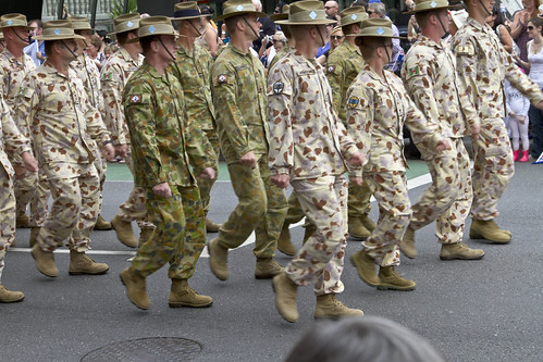 6th Battalion Royal_015_20Nov2010 | by Michael Dawes