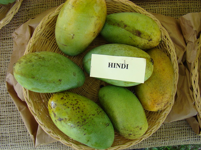 Mango  #105: HINDI