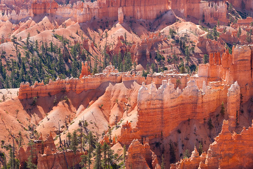 Bryce Canyon | by sgplewka
