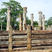 Polonnaruwa Vatadage, foto: Pavel Bašta