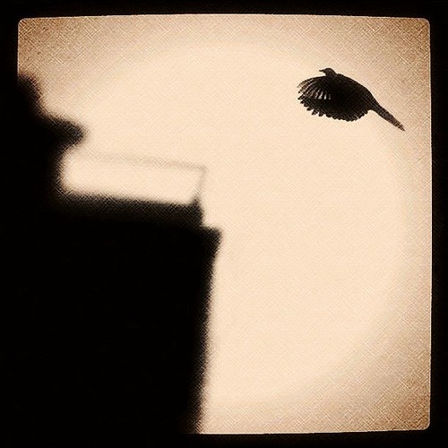 Sharp Shooter | by Abi Ee
