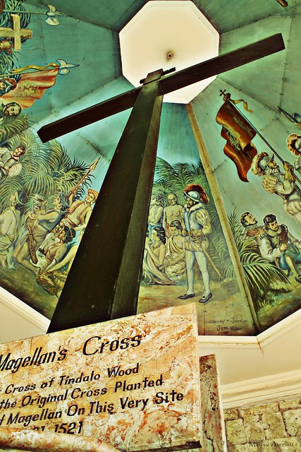 Magellan's Cross Perspective