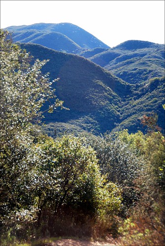 california photo vista chaparral clevelandnationalforest sanjuanlooptrail