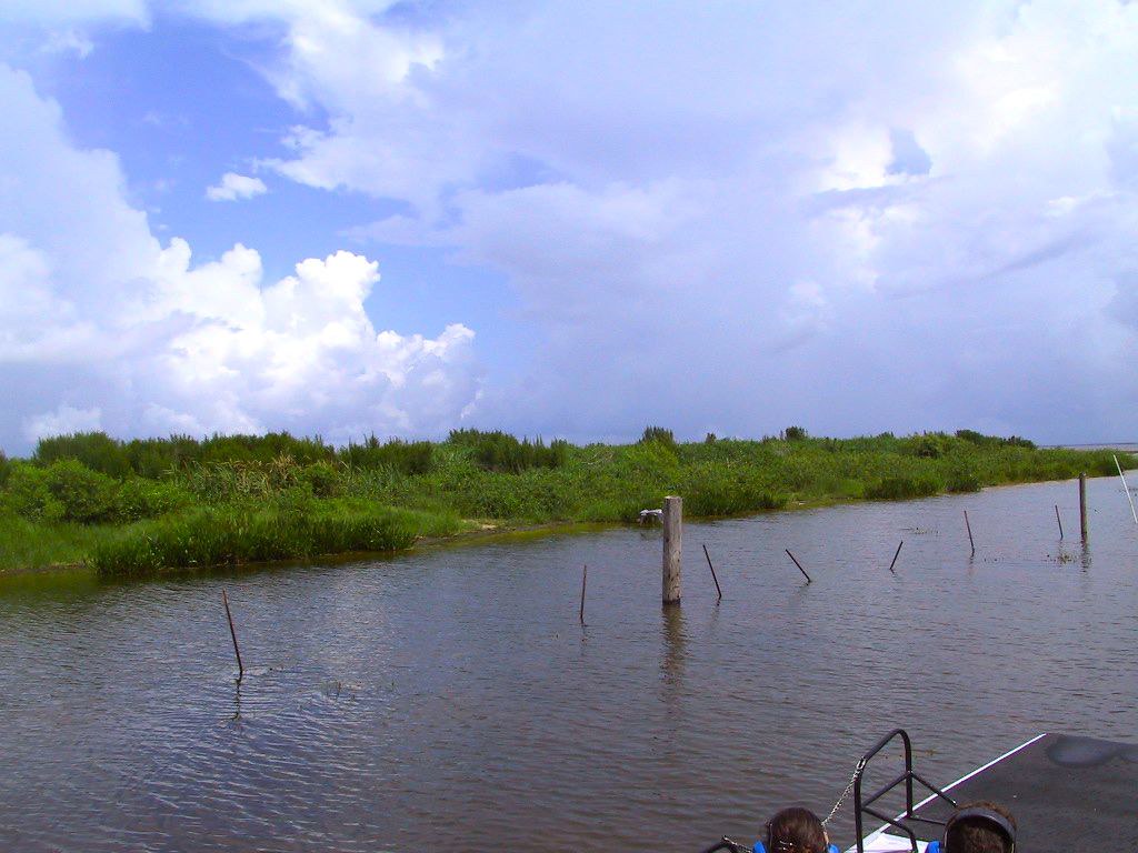 Boggy Creek Airboat Ride in Orlando Fl Boggy Creek Airboat… Flickr