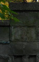 mount pleasant cemetery wall