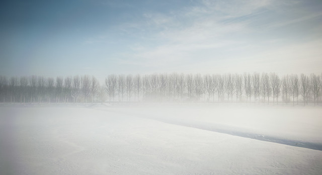 Winter in Holland, 2010