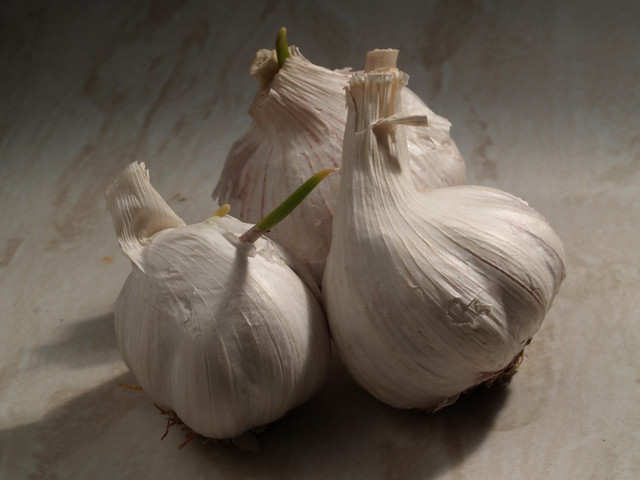 January 2 2011 002/365 Garlic