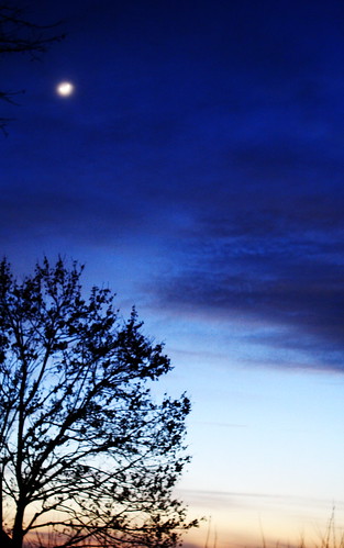 light sunset moon tree silhouette clouds dark shadows project365