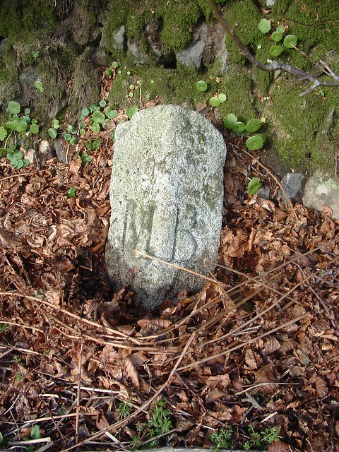 Brentor Boundary Stone near the church Dartmoor