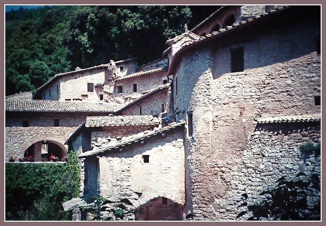 Assisi, Eremo delle Carceri, 1995