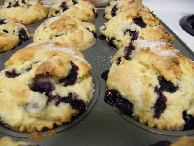 bluberry muffins