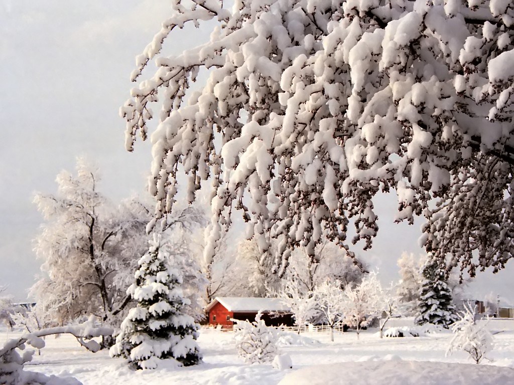 White Winter Wonderland - Boulder, USA by Batikart