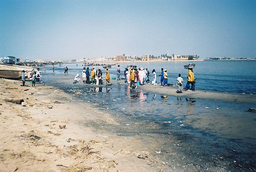 Niveau du fleuve Sénégal à Saint-Louis en alerte