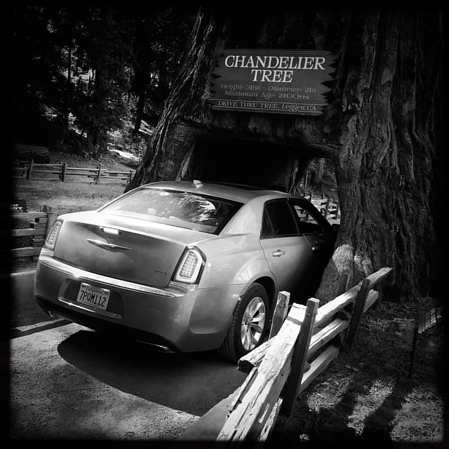 Squeezing through the Chandelier Drive-Thru #hipstamatic
