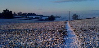 Winter into the Distance #dailyshoot #Hereford