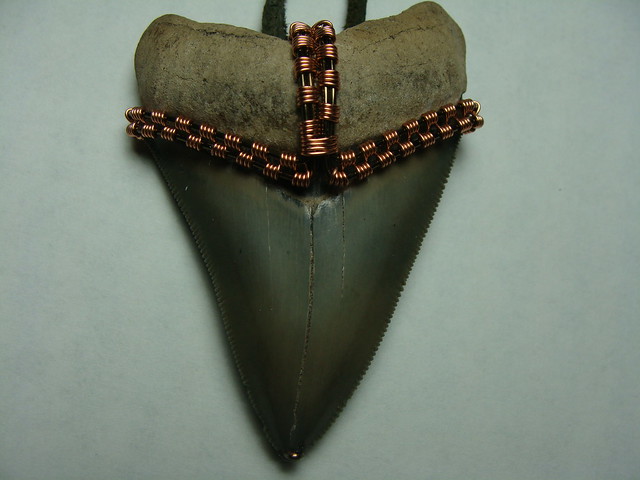 Megalodon tooth pendent