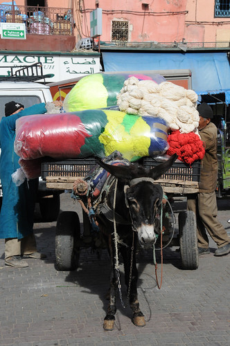 Textile Cart & Donkey | by sgmerle